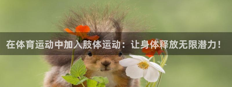 看球通体育在线观看：在体育运动中加入肢体运动：让身体释放无限潜力！