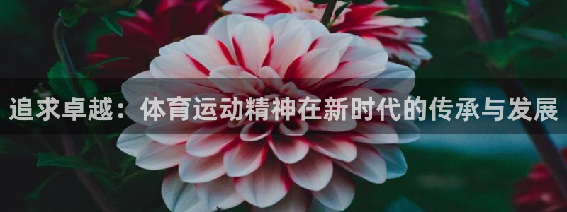 看球通体育官网：追求卓越：体育运动精神在新时代的传承与发展