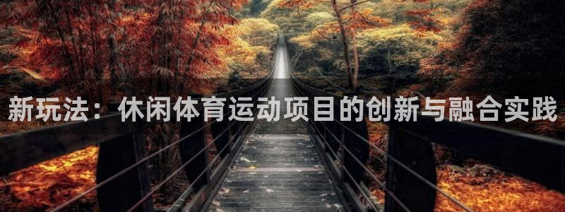 看球通体育网页版：新玩法：休闲体育运动项目的创新与融合实践