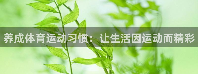 看球通体育网页版：养成体育运动习惯：让生活因运动而精彩
