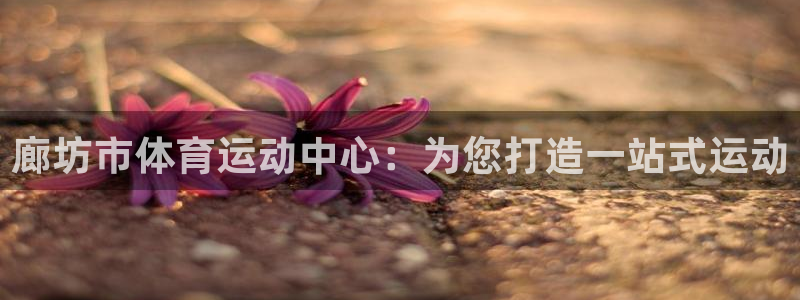看球通体育小东北：廊坊市体育运动中心：为您打造一站式运动