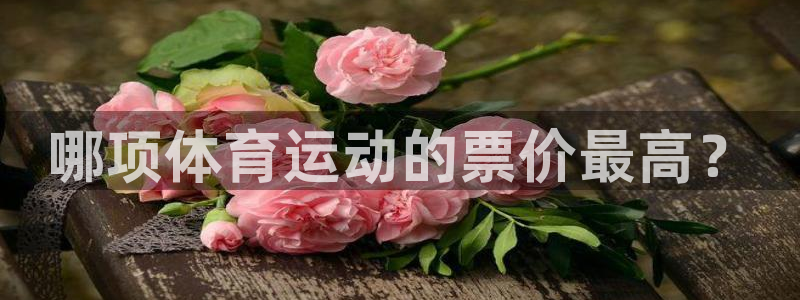 看球通体育App下载：哪项体育运动的票价最高？