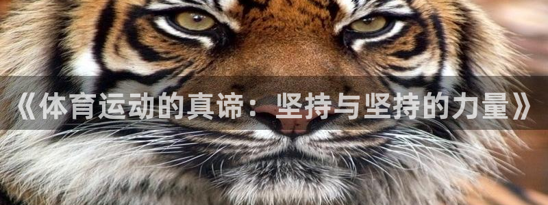 看球通体育在线观看：《体育运动的真谛：坚持与坚持的力量》